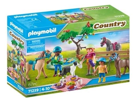 Πικ νικ στην εξοχή  / Playmobil   